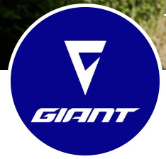 Xe đạp việt thắng